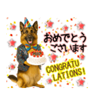 シェパード★毎日使う気遣いスタンプ♡（個別スタンプ：4）