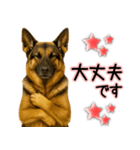 シェパード★毎日使う気遣いスタンプ♡（個別スタンプ：27）