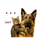 シェパード★毎日使う気遣いスタンプ♡（個別スタンプ：28）