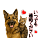 シェパード★毎日使う気遣いスタンプ♡（個別スタンプ：29）