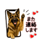 シェパード★毎日使う気遣いスタンプ♡（個別スタンプ：30）