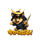 犬政宗（個別スタンプ：4）