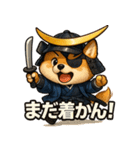 犬政宗（個別スタンプ：11）
