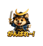 犬政宗（個別スタンプ：34）