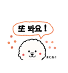 ビションフリーゼ 便利な韓国語の日常会話（個別スタンプ：26）