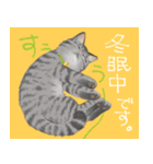 年末年始をお祝いする猫スタンプ（個別スタンプ：32）