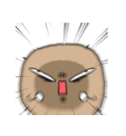 ポテト、なんかムカつく！（個別スタンプ：22）