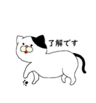 ねこ時々にゃんこ（個別スタンプ：1）
