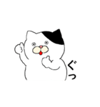 ねこ時々にゃんこ（個別スタンプ：2）