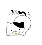 ねこ時々にゃんこ（個別スタンプ：3）