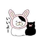 ねこ時々にゃんこ（個別スタンプ：4）