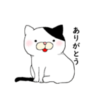 ねこ時々にゃんこ（個別スタンプ：5）