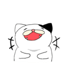 ねこ時々にゃんこ（個別スタンプ：10）