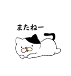 ねこ時々にゃんこ（個別スタンプ：12）