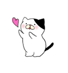ねこ時々にゃんこ（個別スタンプ：15）