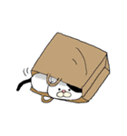 ねこ時々にゃんこ（個別スタンプ：17）