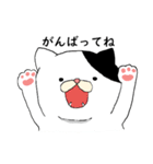 ねこ時々にゃんこ（個別スタンプ：18）