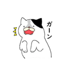 ねこ時々にゃんこ（個別スタンプ：19）