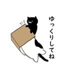 ねこ時々にゃんこ（個別スタンプ：30）