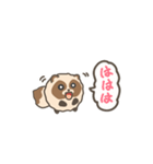 動くまんまるたぬき2（個別スタンプ：2）