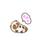 動くまんまるたぬき2（個別スタンプ：12）