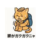 登山ねこの山日記（個別スタンプ：5）