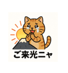 登山ねこの山日記（個別スタンプ：9）