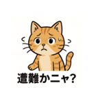 登山ねこの山日記（個別スタンプ：12）