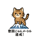 登山ねこの山日記（個別スタンプ：15）