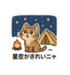 登山ねこの山日記（個別スタンプ：20）