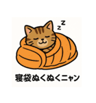 登山ねこの山日記（個別スタンプ：21）