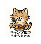 登山ねこの山日記（個別スタンプ：24）