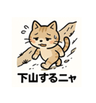 登山ねこの山日記（個別スタンプ：39）