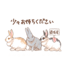 「レッキス（ブロークンオレンジ）」（個別スタンプ：4）