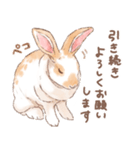 「レッキス（ブロークンオレンジ）」（個別スタンプ：5）