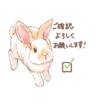 「レッキス（ブロークンオレンジ）」（個別スタンプ：10）