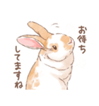 「レッキス（ブロークンオレンジ）」（個別スタンプ：11）