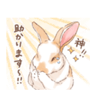 「レッキス（ブロークンオレンジ）」（個別スタンプ：15）