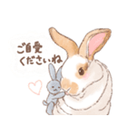 「レッキス（ブロークンオレンジ）」（個別スタンプ：17）