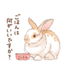 「レッキス（ブロークンオレンジ）」（個別スタンプ：20）