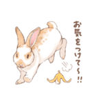 「レッキス（ブロークンオレンジ）」（個別スタンプ：22）