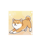 柴犬のスタンプ-日常（個別スタンプ：1）