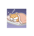 柴犬のスタンプ-日常（個別スタンプ：2）