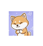 柴犬のスタンプ-日常（個別スタンプ：12）