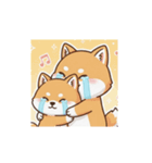 柴犬のスタンプ-日常（個別スタンプ：13）