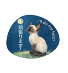 月夜のチャロと星のことば – renewal（個別スタンプ：3）