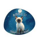 月夜のチャロと星のことば – renewal（個別スタンプ：5）