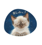 月夜のチャロと星のことば – renewal（個別スタンプ：9）