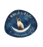 月夜のチャロと星のことば – renewal（個別スタンプ：10）
