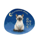 月夜のチャロと星のことば – renewal（個別スタンプ：13）